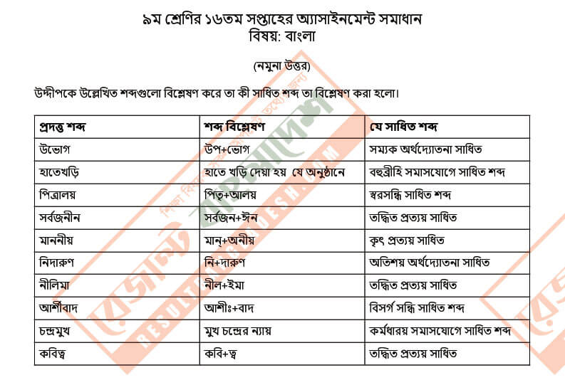 Class 9 Bangla Assignment 16th week Answer