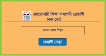 PSC Result 2019 Dhaka Board