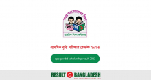 dpe gov bd scholarship result 2023