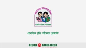 Primary Scholarship Result Feature Image
